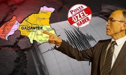 Gaziantep Nurdağı'nda 4.6'lık deprem: Uzmanlar artçı dedi