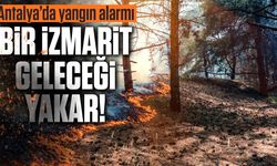 Antalya Tarım Müdürlüğü'nden kritik yangın uyarısı