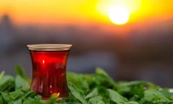 Karadenizli çay üreticisi Tirebolu 42 iflas etti