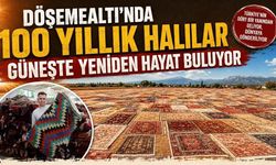 Döşemealtı'nda asırlık halılar güneş tarlalarına seriliyor