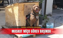 Antalya deniz polisinin maskotu Miço hayat kurtarıyor