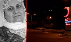 Diyarbakır'da gelinini öldüren sanık mahkemede ifade verdi