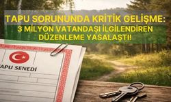 Orman Kanunu değişti: 80 bin taşınmazın tapu sorunu çözüldü