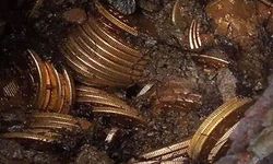 Bahçede yürürken 10 milyon dolarlık altın hazinesi buldular