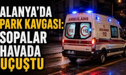 Alanya'da park kavgası: Sopalar havada uçuştu