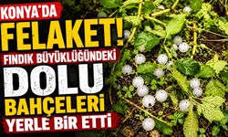 Konya'da felaket: Fındık büyüklüğündeki dolu bahçeleri yerle bir etti