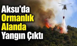 Aksu'da ormanlık alanda yangın çıktı