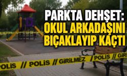 Parkta d*hşet: Okul arkadaşını bıçaklayıp kaçtı