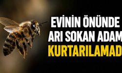Evinin önünde arı sokan adam kurtarılamadı