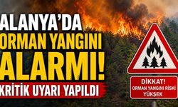 Alanya'da orman yangını alarmı! Kritik uyarı yapıldı