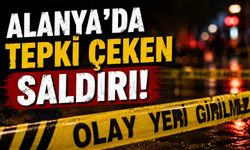 Alanya'da tepki çeken saldırı!