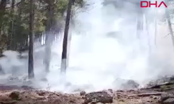 Serik’te yıldırım ormanı ateşe verdi