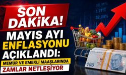 Son Dakika! Mayıs ayı enflasyonu açıklandı: Memur ve Emekli maaşlarında zamlar netleşiyor