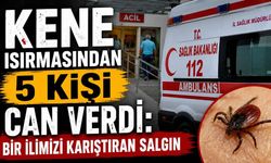 Kene ısırmasından 5 kişi can verdi: Bir ilimizi karıştıran salgın