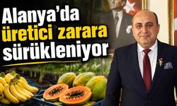 'Alanya'da üretici zarara sürükleniyor'