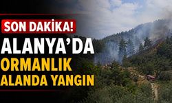 Son Dakika! Alanya'da ormanlık alanda yangın