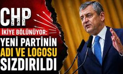 CHP ikiye bölünüyor: Yeni partinin adı ve logosu sızdırıldı