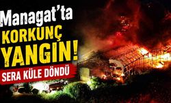 Manavgat'ta muz serası küle döndü: 5 dönüm arazi zarar gördü