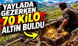 Yaylada gezerken 70 kilo altın buldu