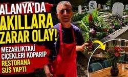 Alanya'da akıllara zarar olay! Mezarlıktaki çiçekleri koparıp restorana süs yaptı