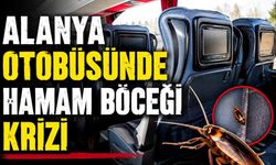 Alanya otobüsünde hamam böceği krizi