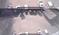 Alanya’da pes dedirten olay: Kedilerin mama kapları kamerada çalındı