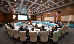 Antalya'da sahipsiz hayvanlar için ortak hareket kararı
