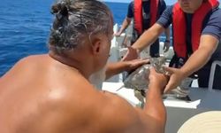 Alanya açıklarında çuvala dolanan deniz kaplumbağası kurtarıldı
