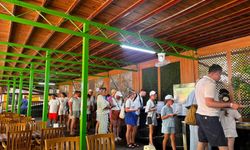 Alanya'da doğa ve lezzetin adresi: Klas Piknik