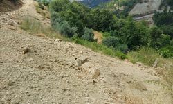 Şıhlar'da yol çökmesi tepkisi! Tapulu arazisi zarar gördü