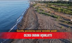 Antalya'da carettalara zarar vermenin cezası 699 bin TL
