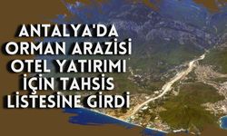 Kemer'de orman arazisi otel yatırımı için tahsise açıldı