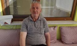Cide'de kendi arılarının soktuğu arıcı hayatını kaybetti