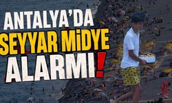 Antalya'da seyyar midye uyarısı: Sıcak hava zehirleyebilir