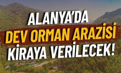 Alanya Hıdırellez Orman Parkı 20 yıllığına kiraya verilecek