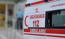 Seferihisar'da ayı saldırısına uğrayan yaşlı adam öldü