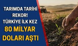Türkiye'nin tarımsal hasılası 83,2 milyar dolara ulaştı