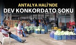 Antalya Hali'nde 50 yıllık firma konkordato ilan etti