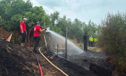 Bursa Mudanya'daki yangın ormana sıçramadan önlendi