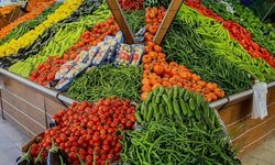 Yaş meyve sebze ihracatı ilk yarıda 2 milyar doları aştı