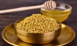 Doğal antibiyotik propolis bağışıklığı nasıl güçlendiriyor