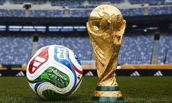 FIFA Dünya Kupası finalinin çimlerini satışa çıkarıyor