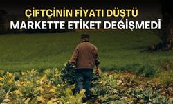 Tarımda üretici fiyatı yüzde 9 düştü, markete yansımadı