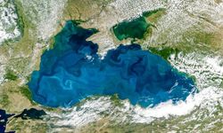 Karadeniz ve İstanbul Boğazı'nın suyu turkuaza döndü