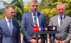Sokak hayvanları yıl sonuna kadar barınaklara alınacak