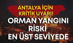 Antalya genelinde orman yangını riski en üst seviyeye çıktı