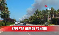 Kepez Çamlıca'da orman yangınına müdahale sürüyor