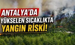Orman yangınlarına karşı 'Köyünü Koru' seferberliği