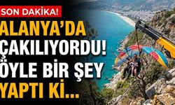 Alanya'da paraşüt kazası: Pilot ve çocuk ağaca iniş yaptı