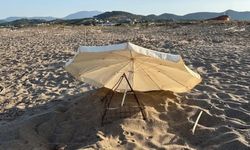 Alanya Yeşilöz sahilinde caretta yuvalarına şemsiye engeli